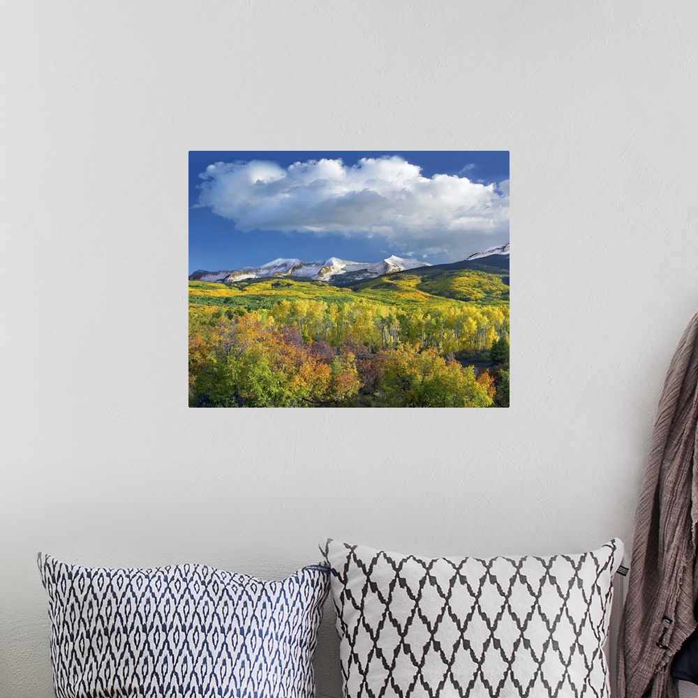 A bohemian room featuring Photograph of snow covered mountain range flanked by fall colored Aspen forests under cumulus clo...