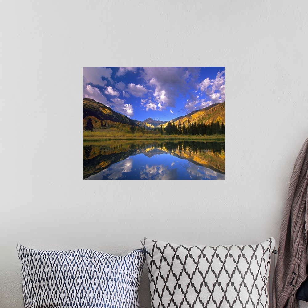 A bohemian room featuring Haystack Mountain reflected in beaver pond, Maroon Bells, Snowmass Wilderness, Colorado