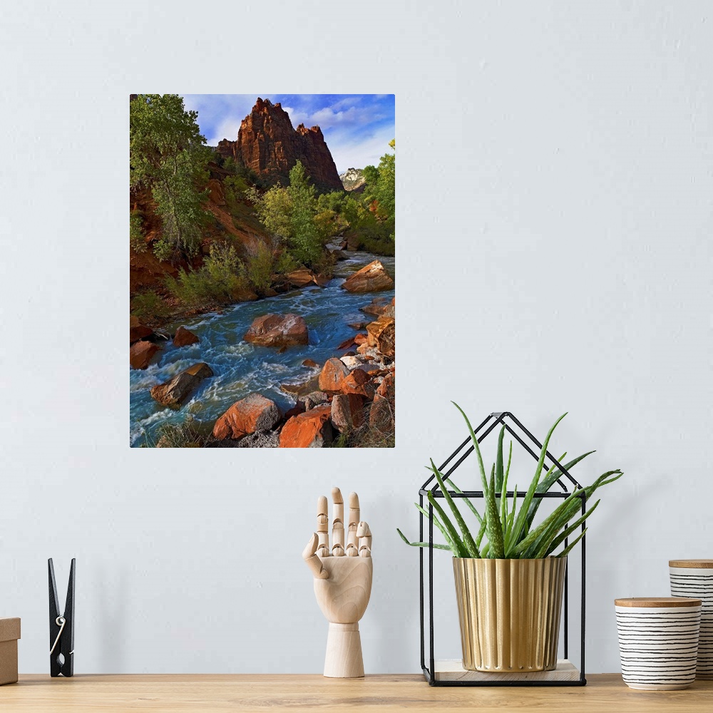 A bohemian room featuring Mt Spry with the Virgin River surrounded by Cottonwood trees, Zion National Park, Utah