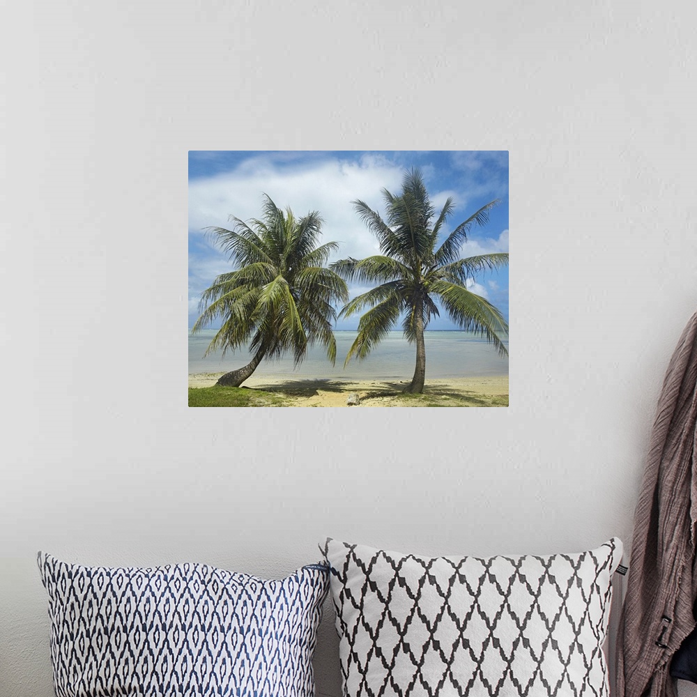A bohemian room featuring Two trees growing in the sand of a tropical beach in this landscape photograph.