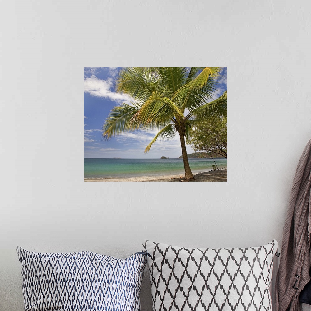 A bohemian room featuring Palm trees line Penca Beach, Costa Rica
