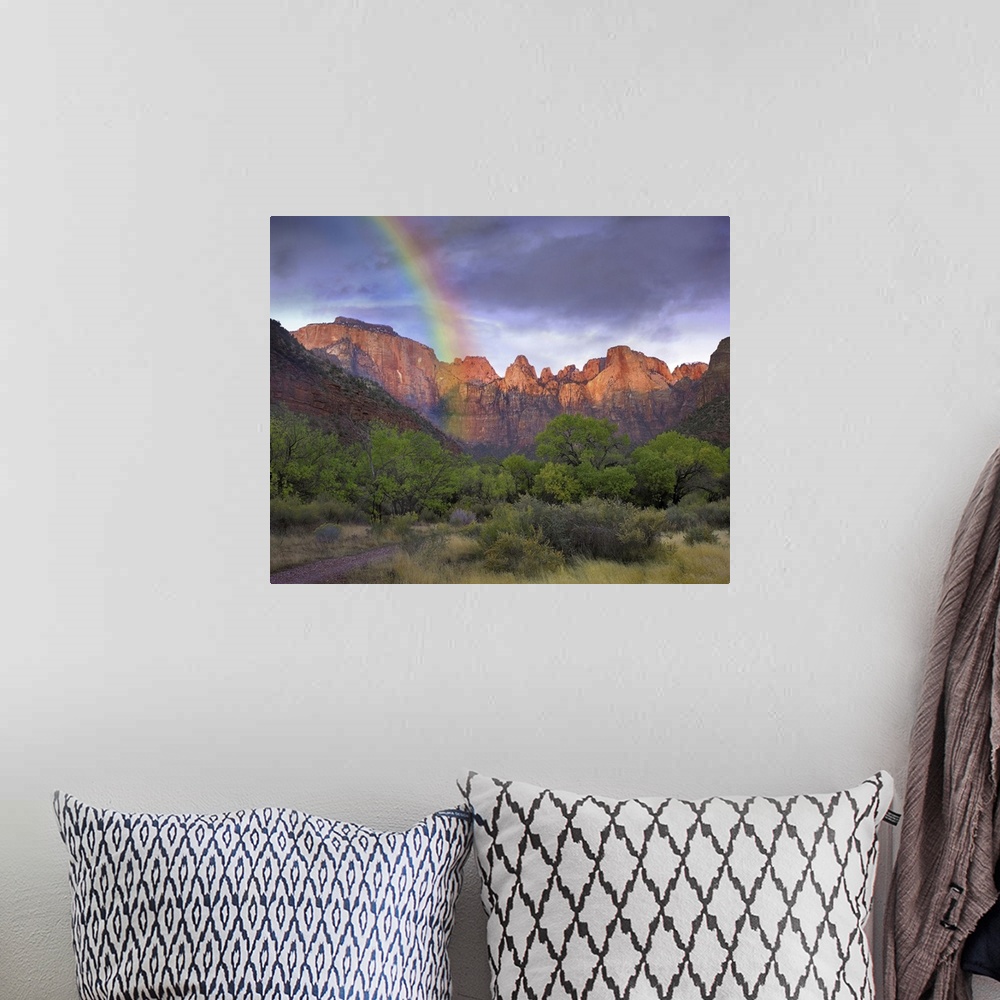 A bohemian room featuring Rainbow at Towers of the Virgin, Zion National Park, Utah