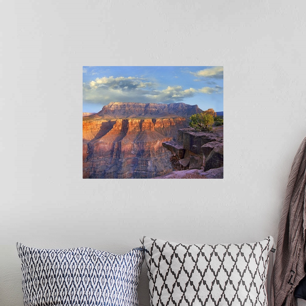 A bohemian room featuring Sandstone cliffs and canyon seen from Toroweap Overlook, Grand Canyon National Park, Arizona
