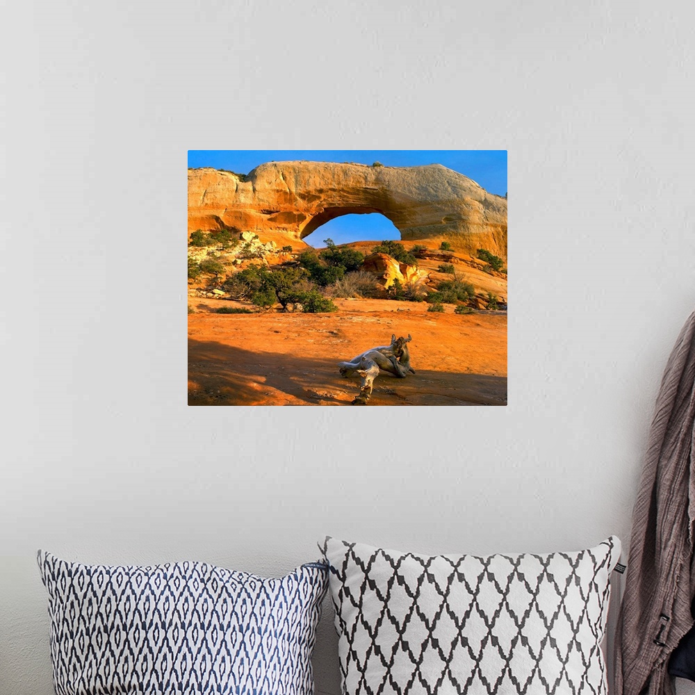 A bohemian room featuring Wilson Arch, off of highway 191, made of entrada sandstone, Utah