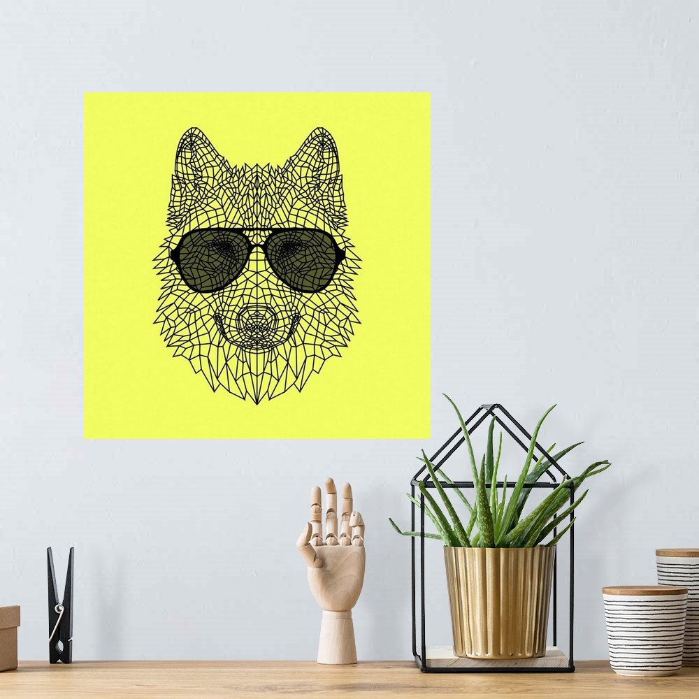 A bohemian room featuring Wolf head wearing sunglasses made up of a polygon mesh.
