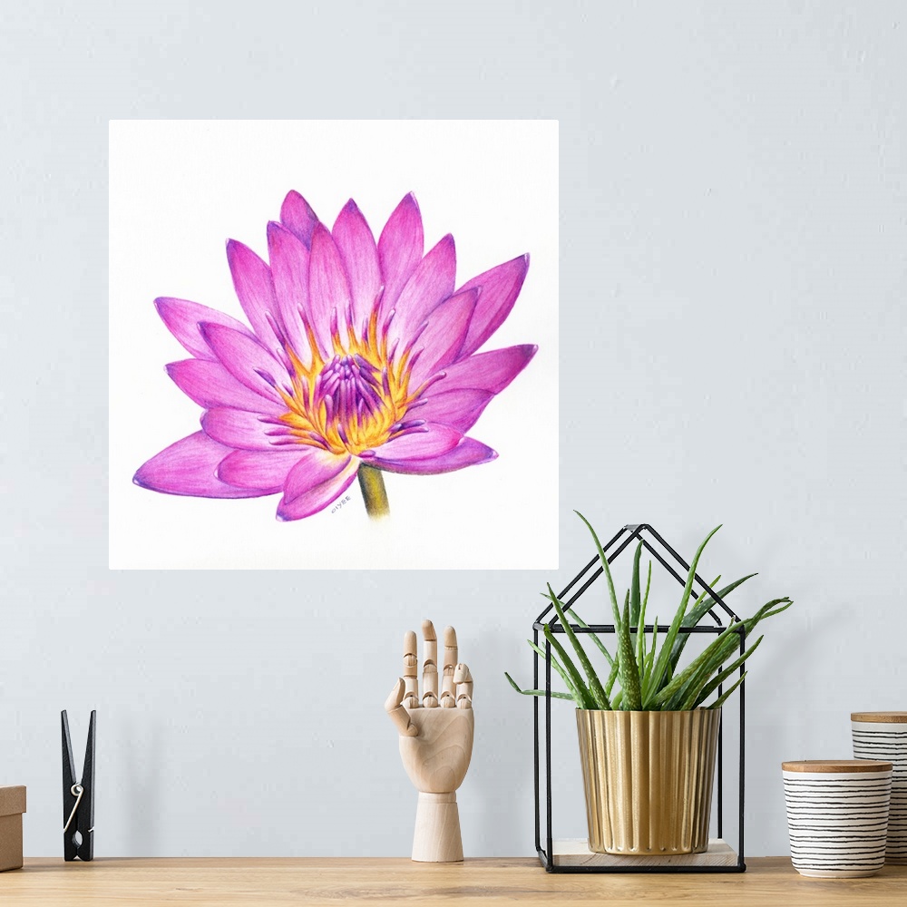 A bohemian room featuring Square painting of a vibrant colored lotus flower on a white background.