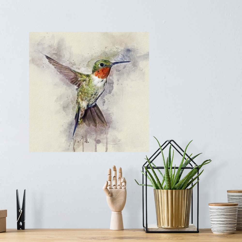 A bohemian room featuring A Ruby-throated Hummingbird in mid-flight.