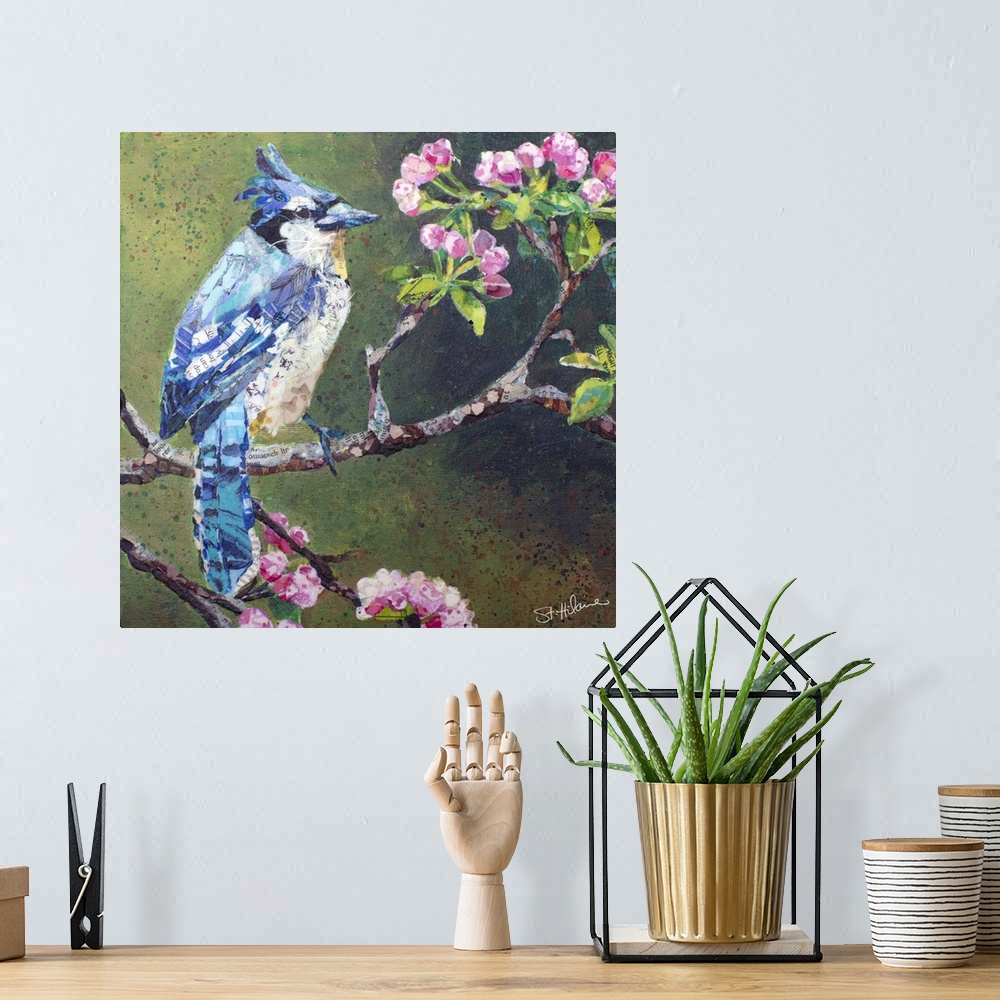 A bohemian room featuring Blue jay on flowering apple blossom branch.