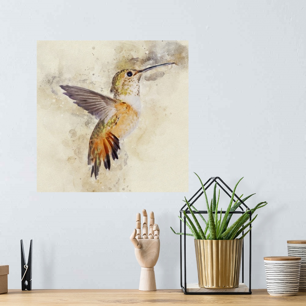 A bohemian room featuring A rufous hummingbird photographed in mid-flight.