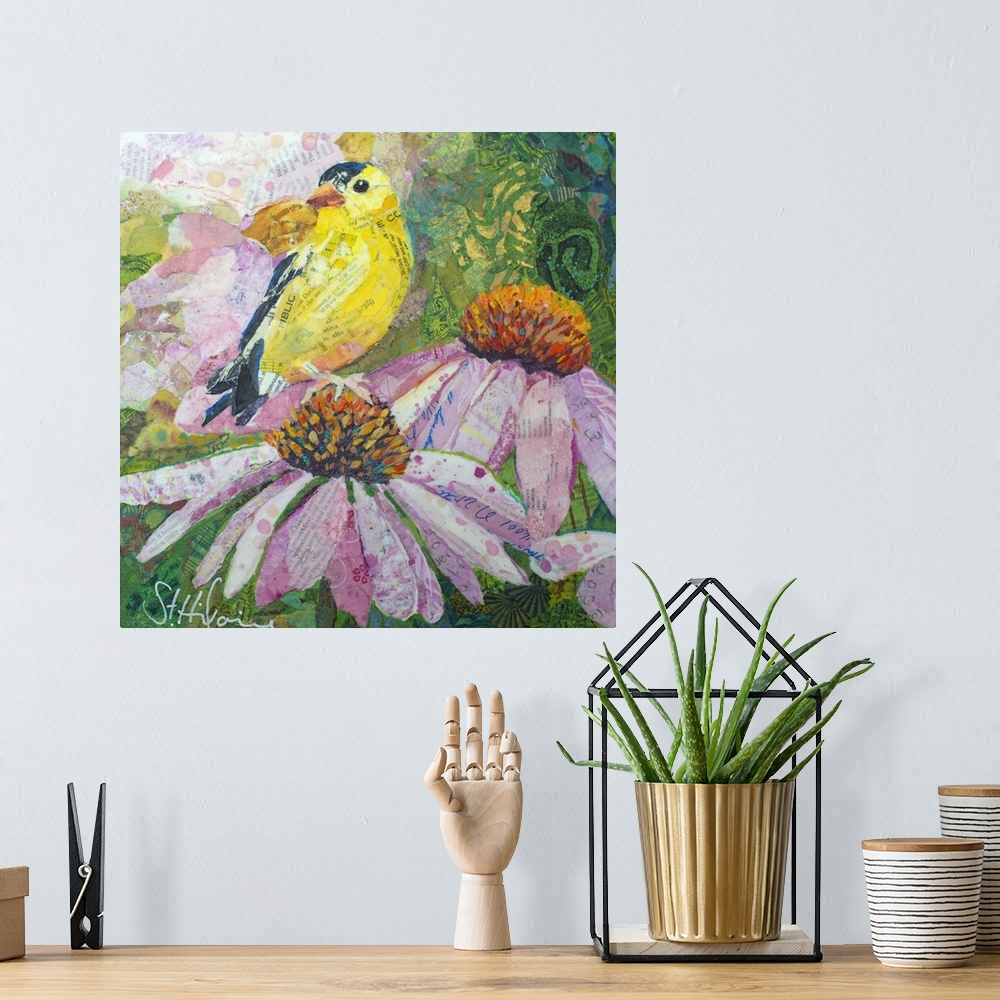A bohemian room featuring American Goldfinch on coneflowers and echinacea flowers.