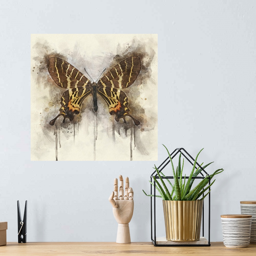 A bohemian room featuring A brown butterfly with yellow and orange markings with wings spread.