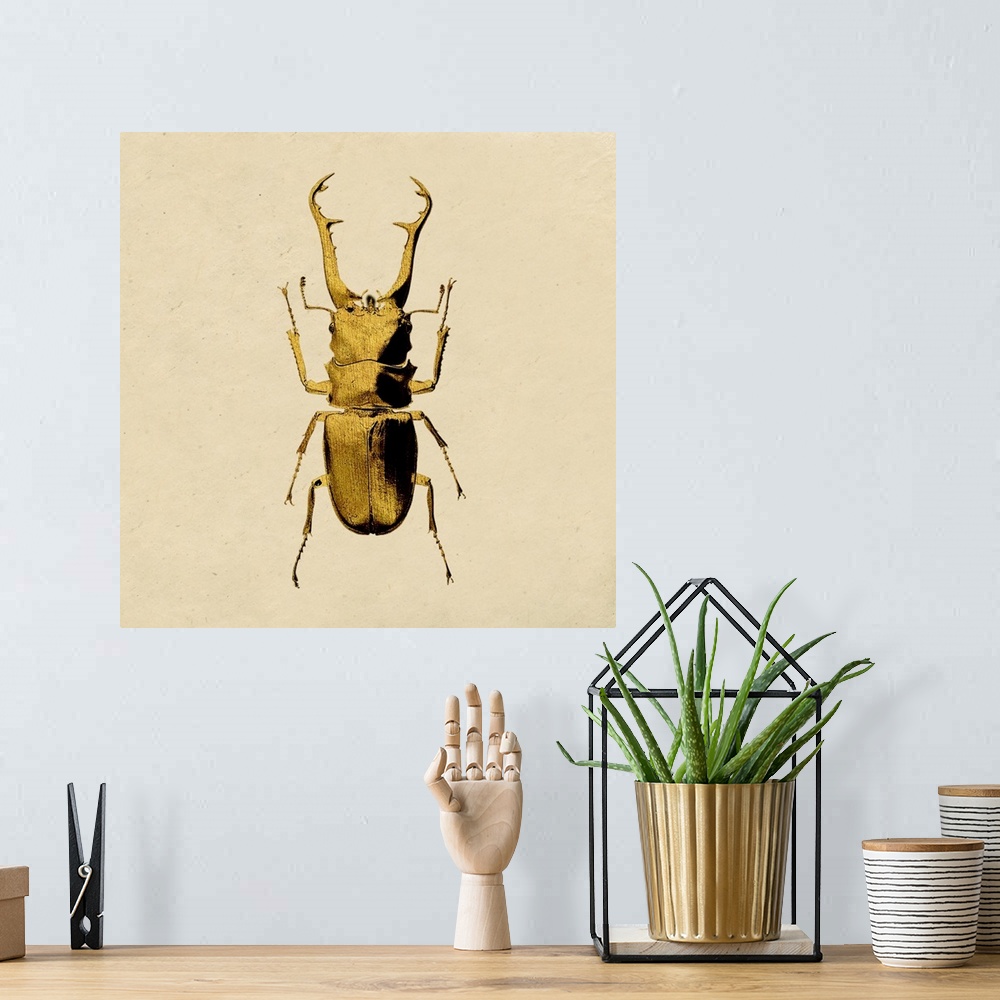 A bohemian room featuring Hot summer day for a stag beetle in West London, United Kingdom.