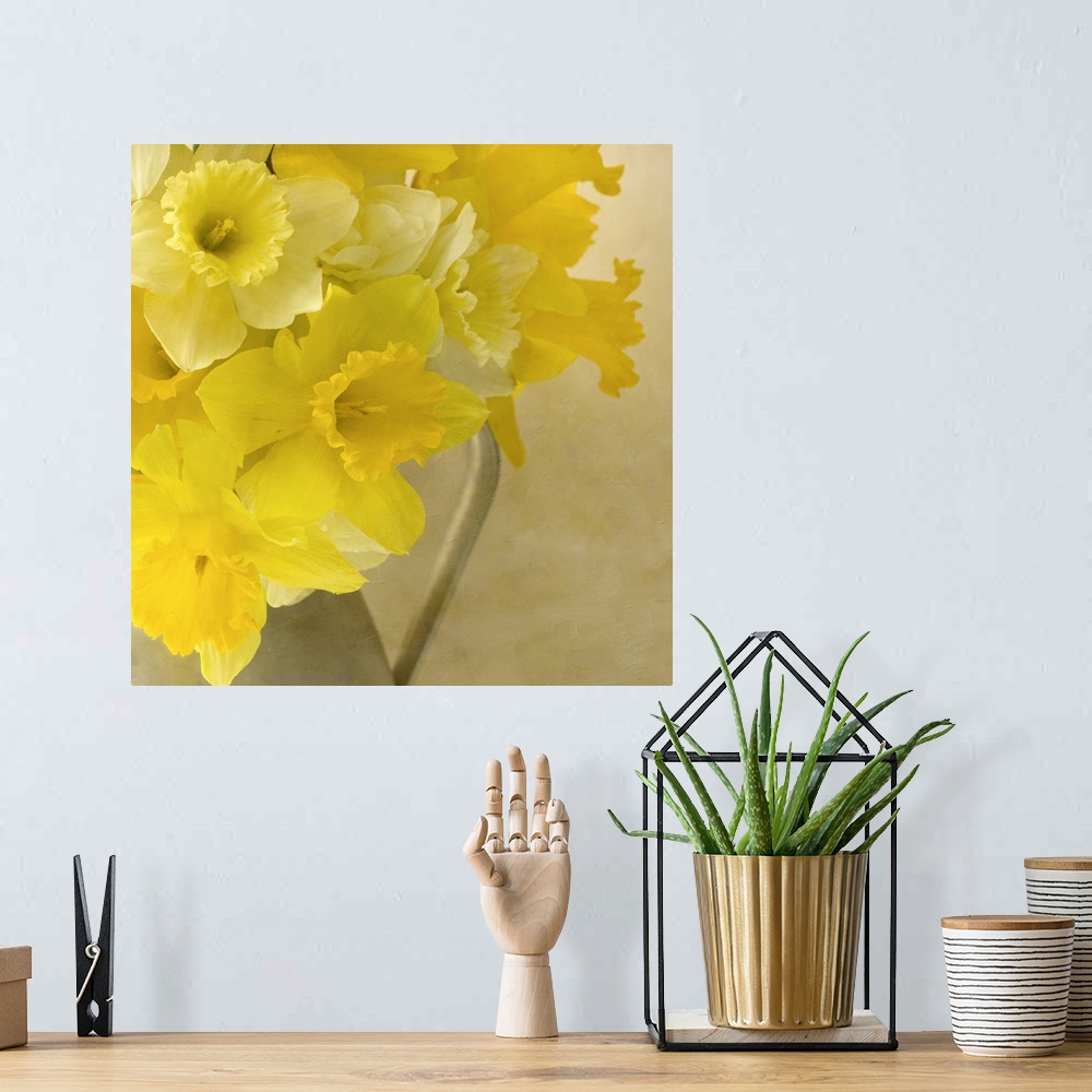 A bohemian room featuring Jug of Daffodils