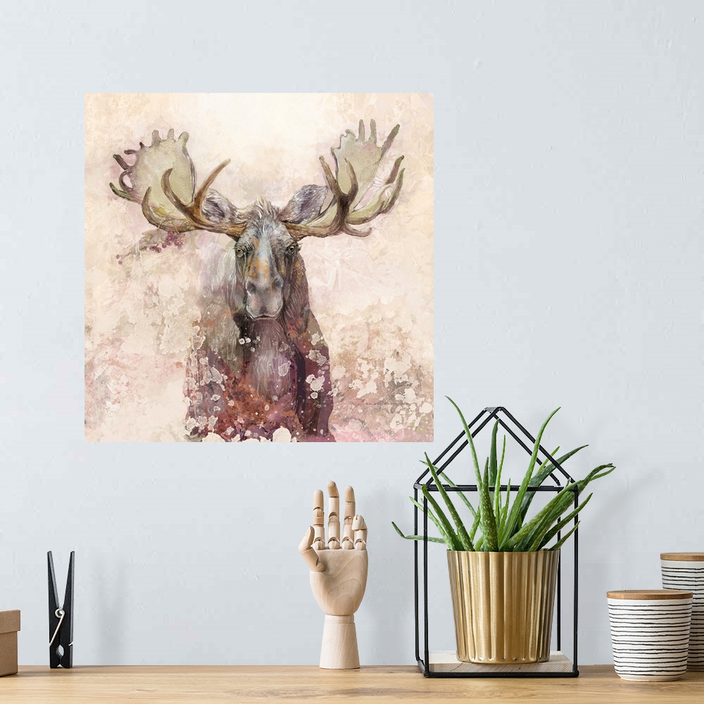 A bohemian room featuring Moose