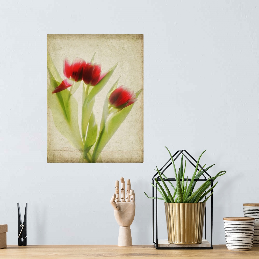 A bohemian room featuring Red Tulips III