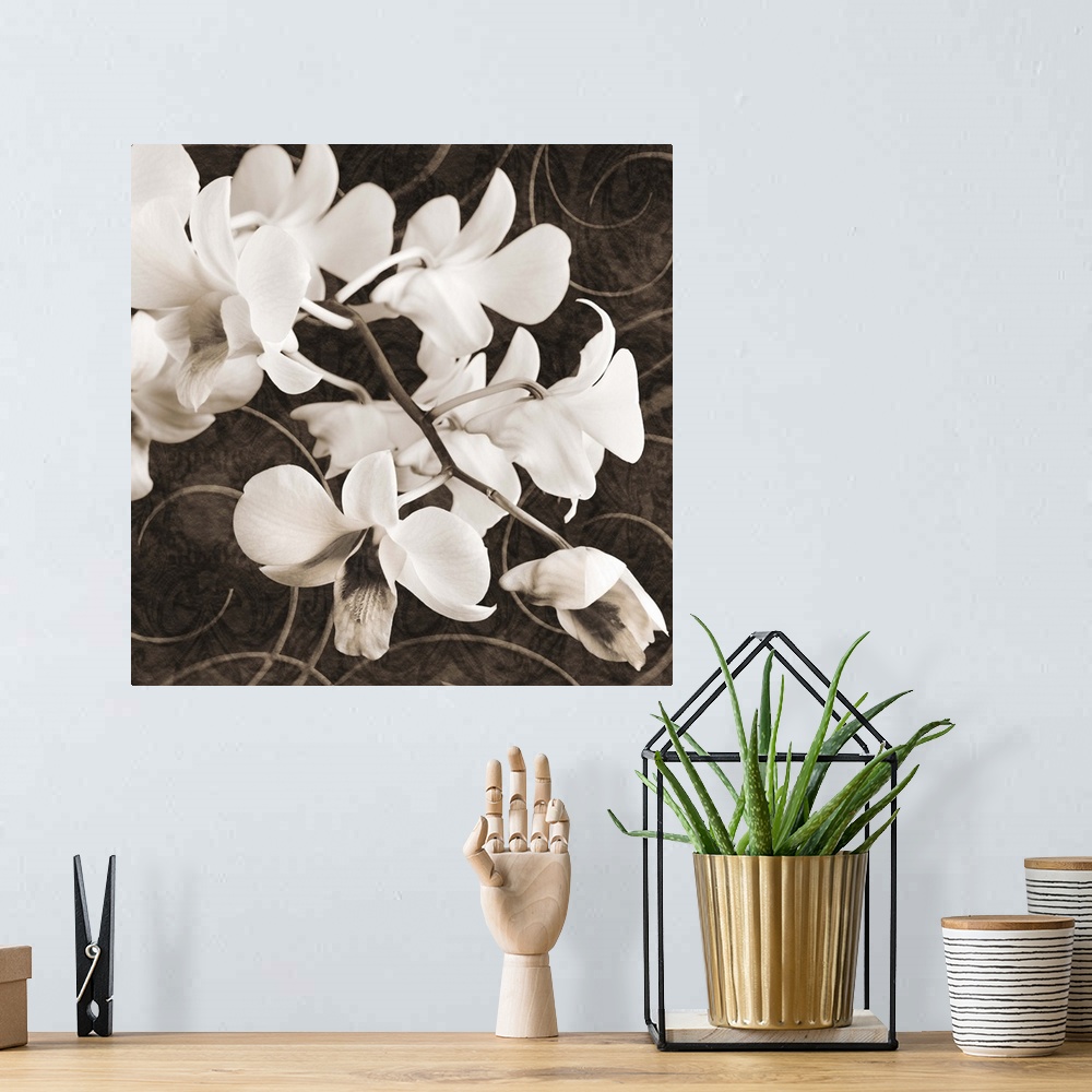 A bohemian room featuring Sepia Orchid