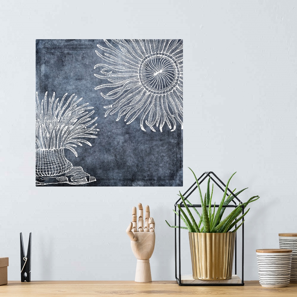 A bohemian room featuring Watercolor anemone painting in white, denim, midnight blue, twilight blue, classic blue and navy ...