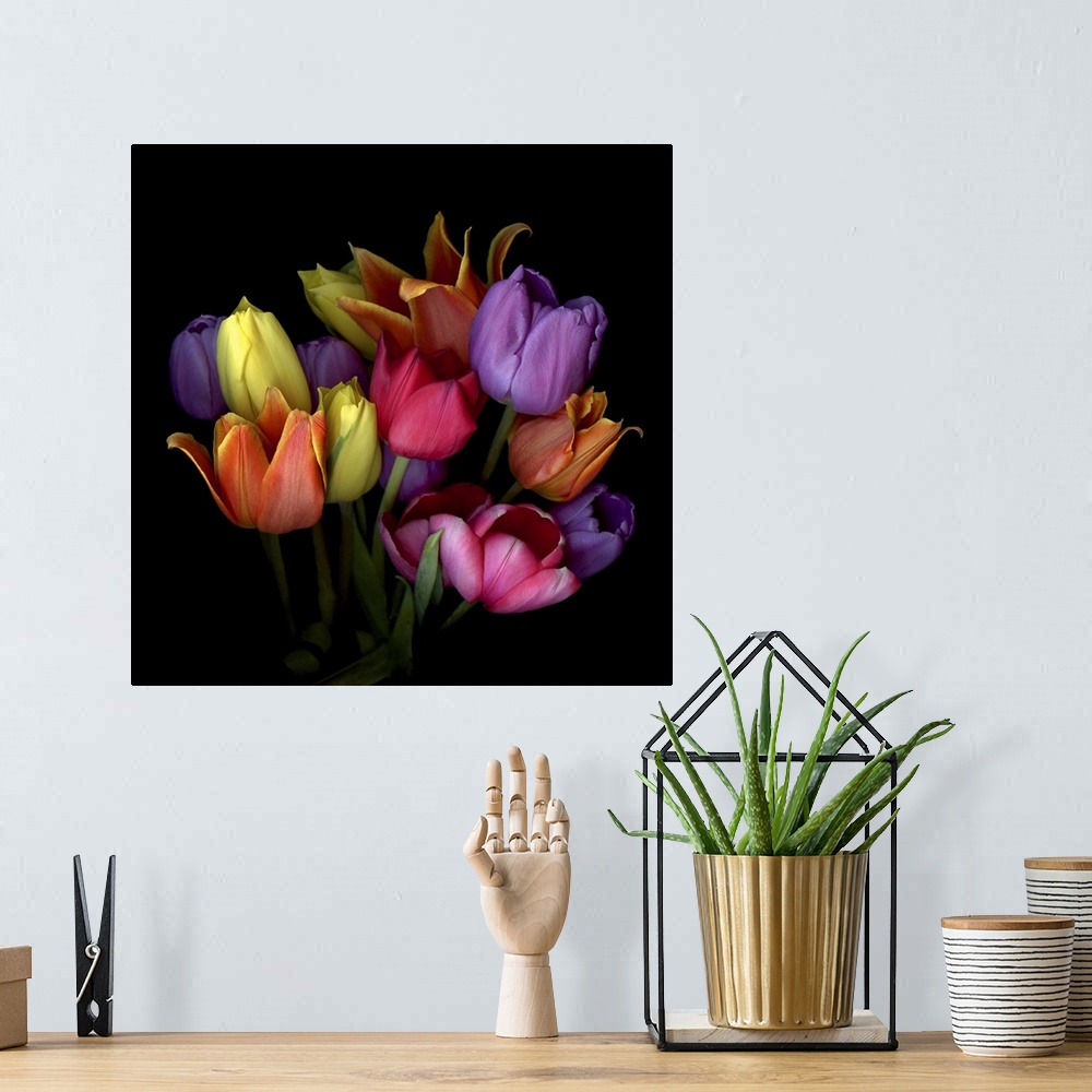 A bohemian room featuring Bouquet of orange, yellow, purple, red and pink tulips.