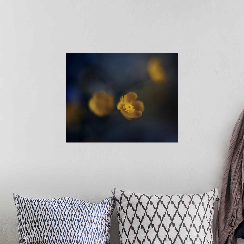 A bohemian room featuring Blurred image of yellow flowers with one in focus.