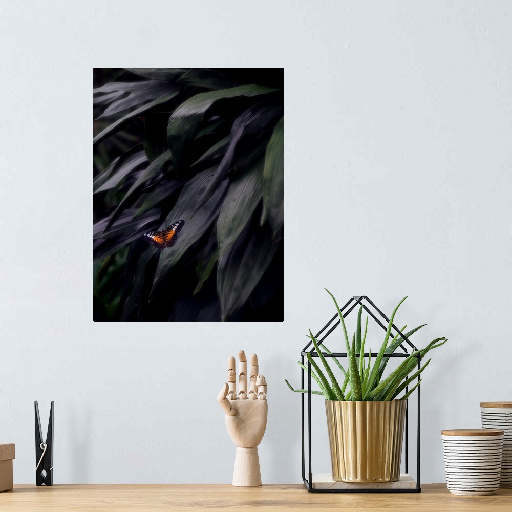 A bohemian room featuring Photograph of an orange, black, and white butterfly on a large, dark leaf.