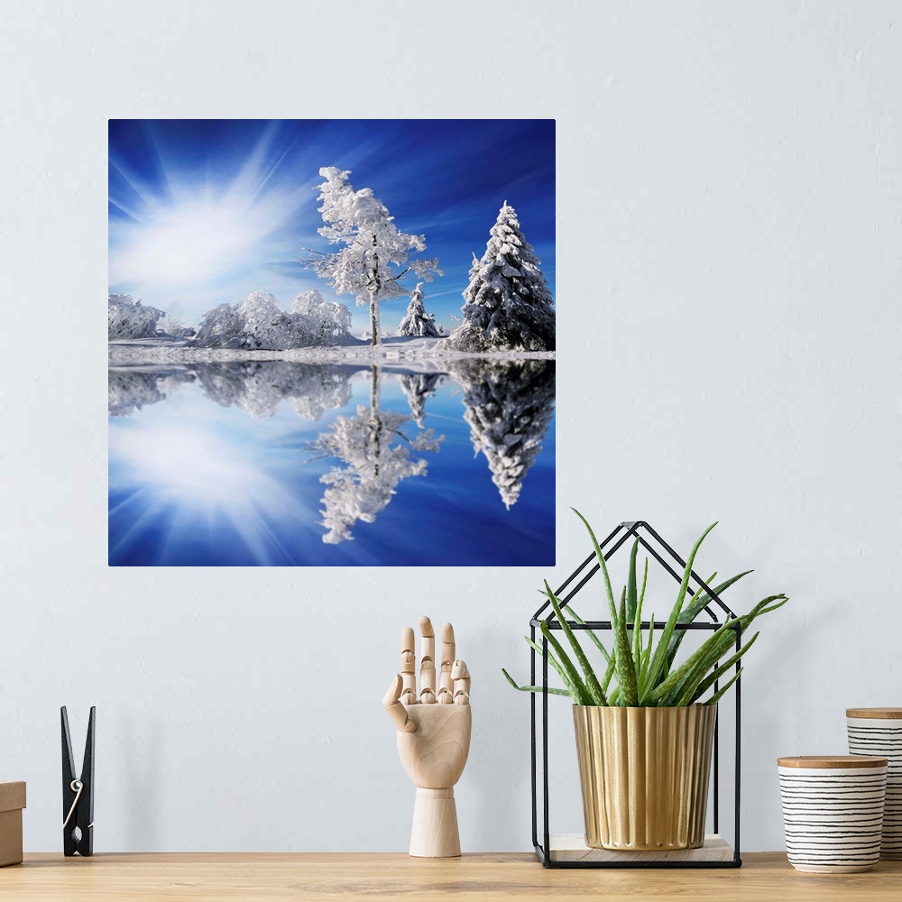 A bohemian room featuring Frozen trees reflecting in water under sunlight