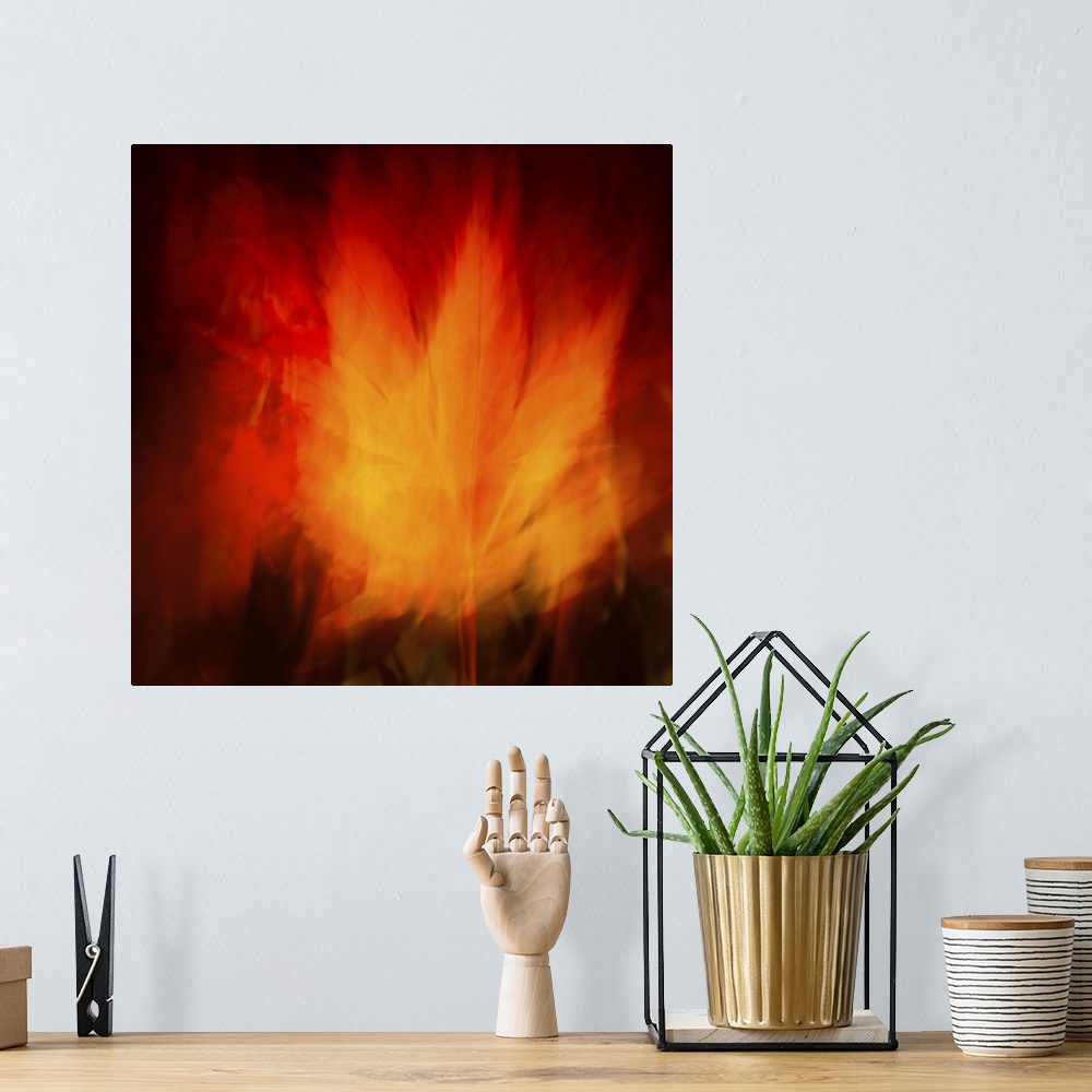 A bohemian room featuring Virbrant fiery maple leaf abstract in red and gold.