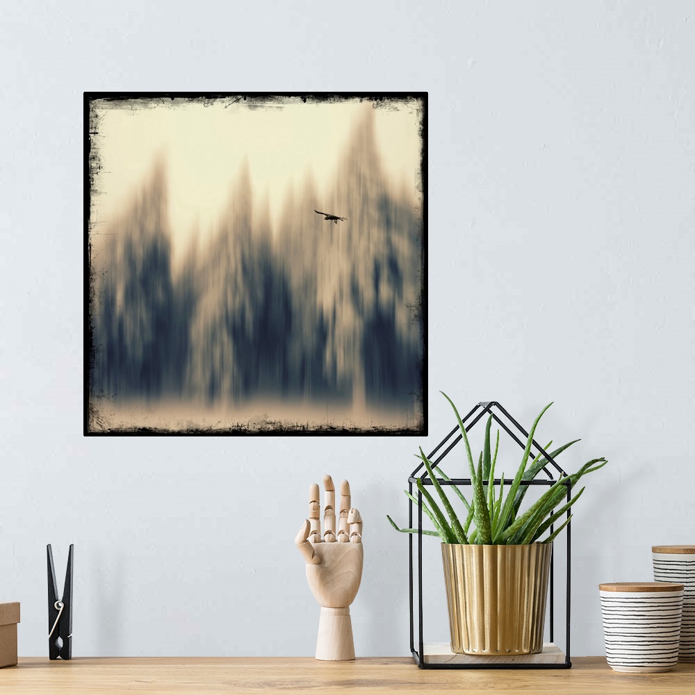 A bohemian room featuring Blur effect on a fir forest with a bird in the foreground. Added photo texture