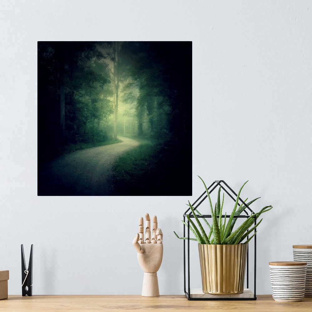 A bohemian room featuring Path in a misty forest