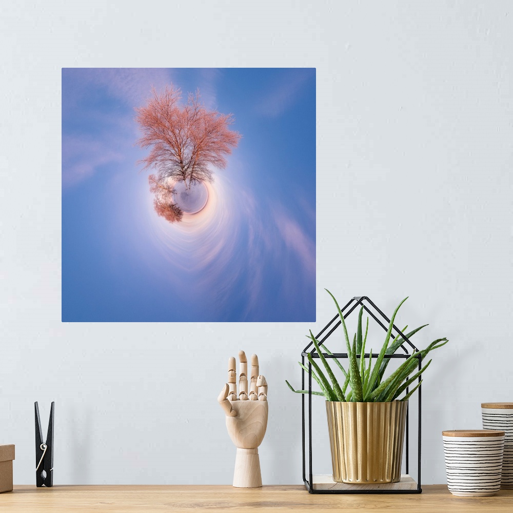 A bohemian room featuring A tall tree with soft pink light from the setting sun against a blue sky, with a stereographic pr...