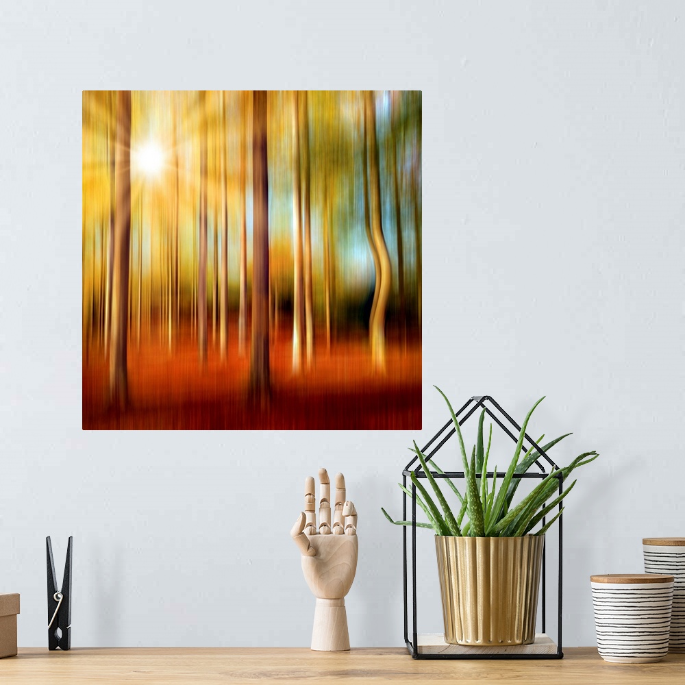 A bohemian room featuring Forest in autumn with a vertical blur effect
