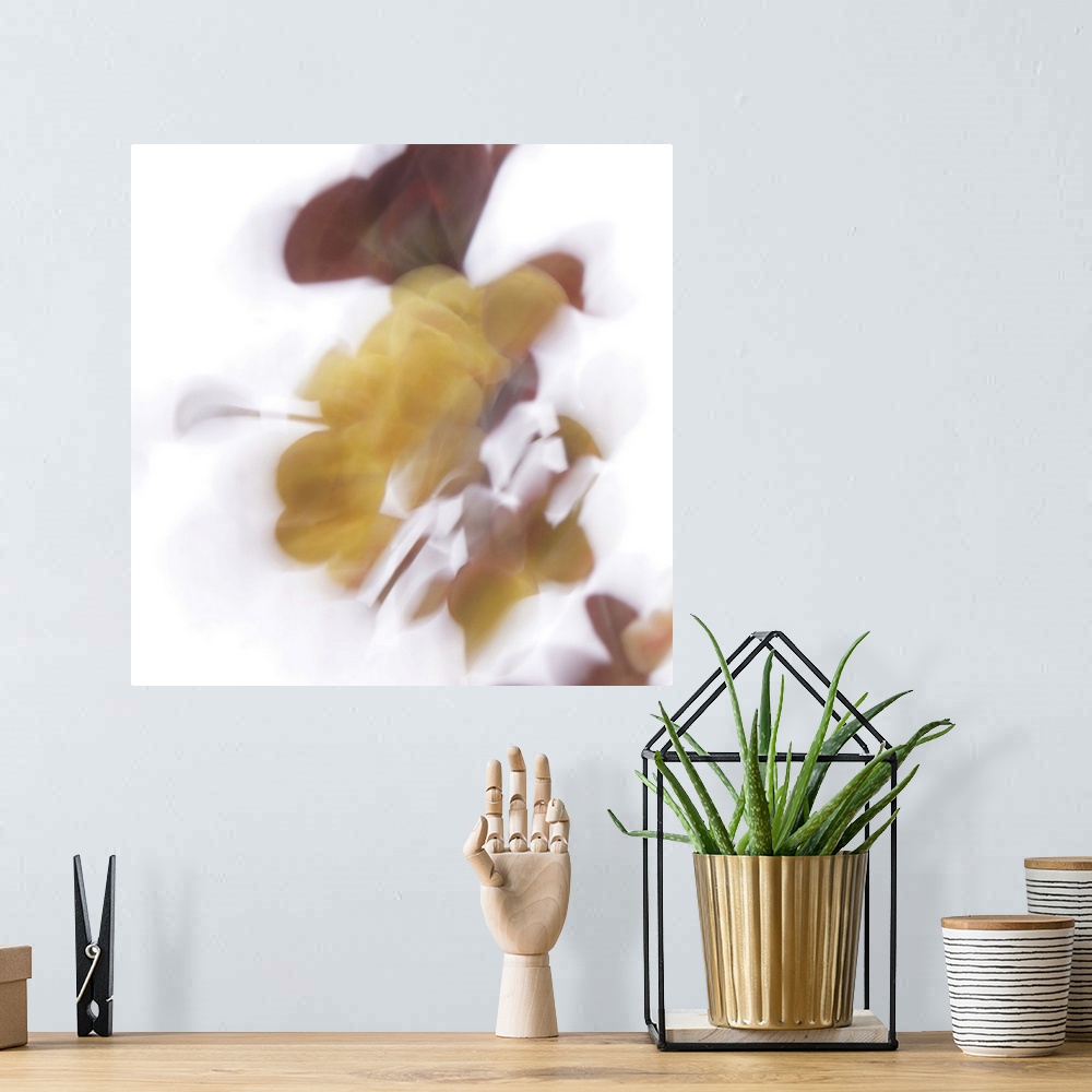 A bohemian room featuring Artistically blurred small yellow flowers in beautiful summer light.
