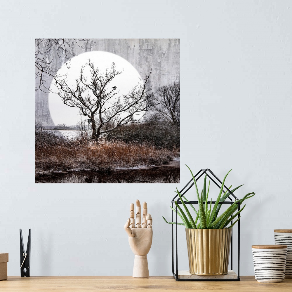 A bohemian room featuring A big moon behind a swampy landscape