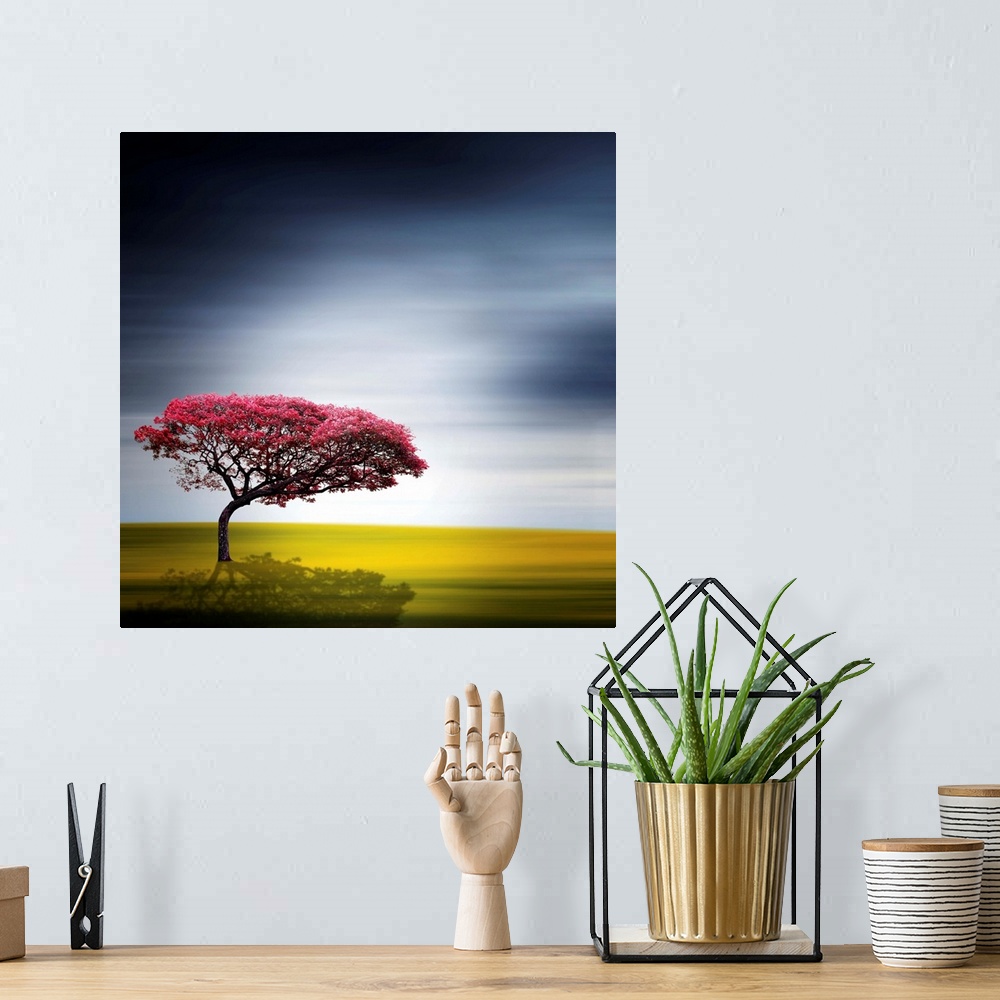 A bohemian room featuring A red tree in front of a blurred landscape