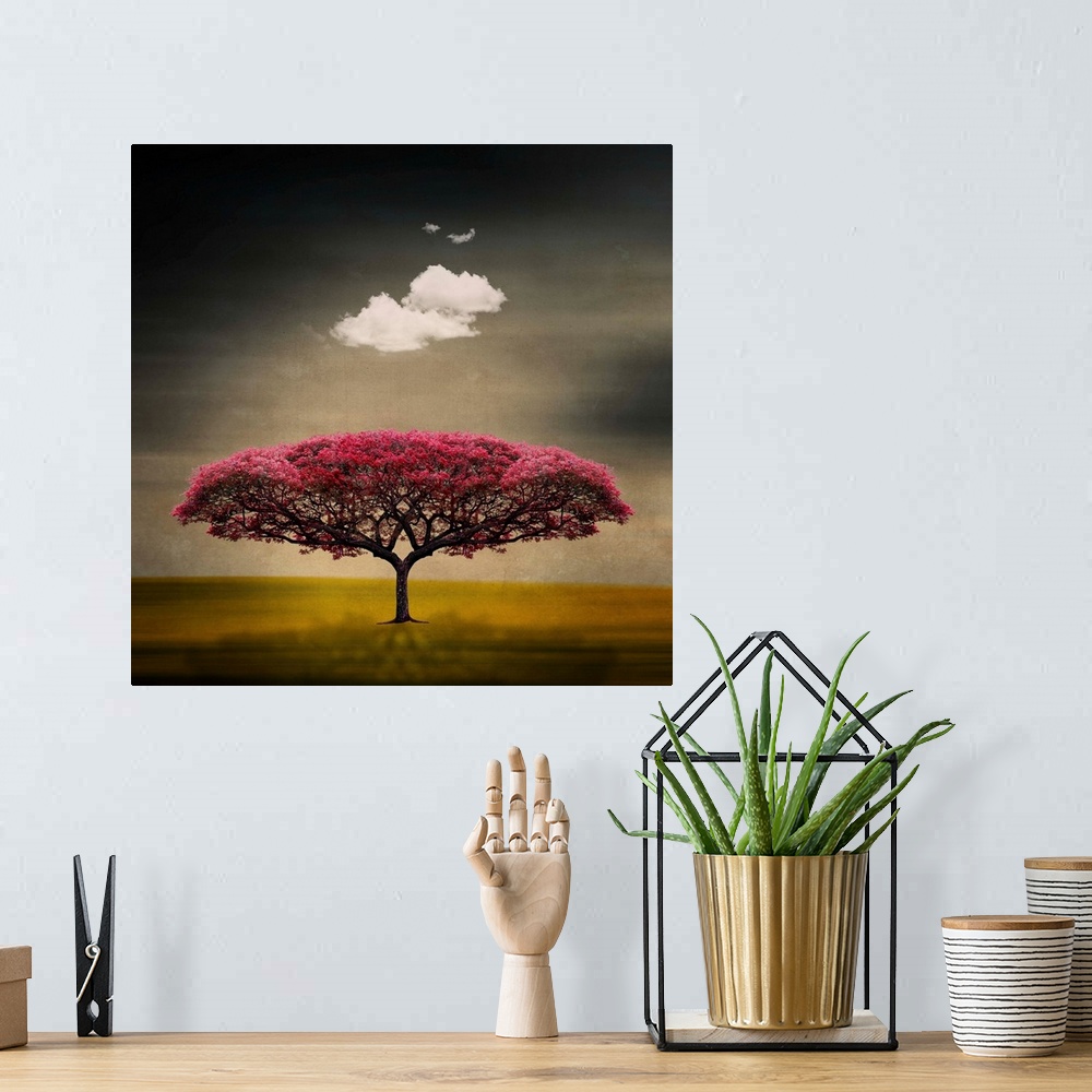 A bohemian room featuring This art work is a digital composite of a symmetrical flowering tree with a fluffy cloud floating...