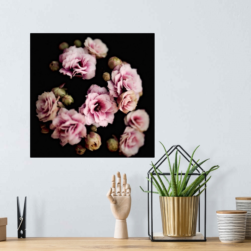 A bohemian room featuring Square image with a soft focus giving this group of pink flowers a dreamy look.