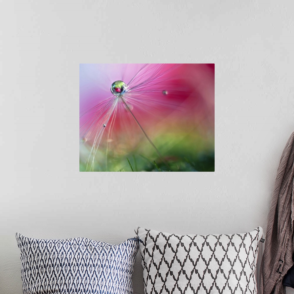A bohemian room featuring A macro photograph of a water droplet sitting atop a seed head against an abstract background.