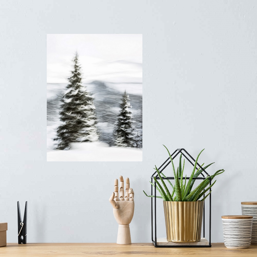 A bohemian room featuring Snowy Trees III