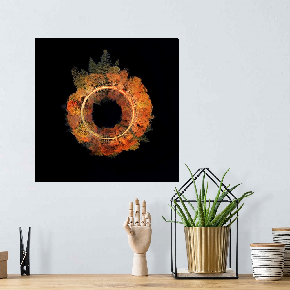 A bohemian room featuring Conceptual square photograph of an Autumn tree line wrapped in a circle on the center of a black ...