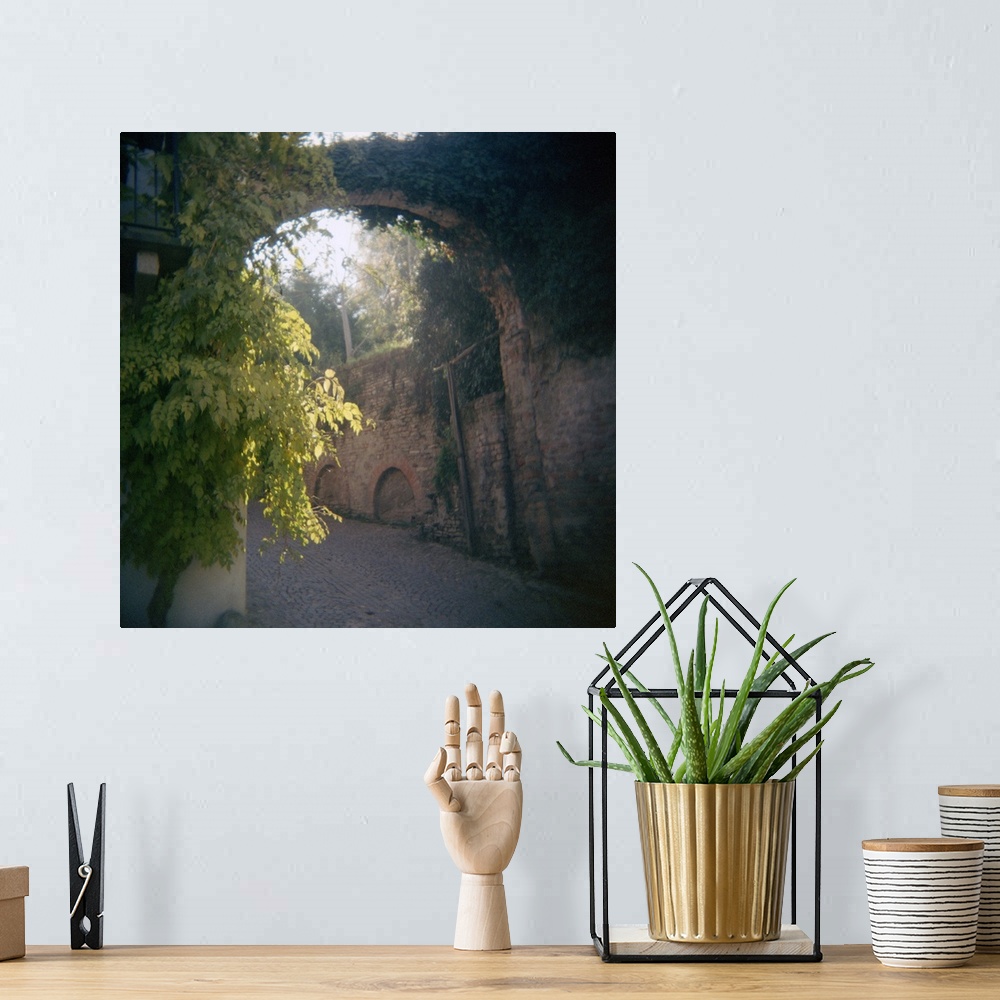 A bohemian room featuring Big canvas print of an old Italian street with vines growing on the bricks.