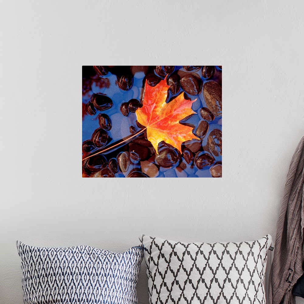 A bohemian room featuring Big wall art of an autumn toned leaf laying in water filled with smooth pebbles.