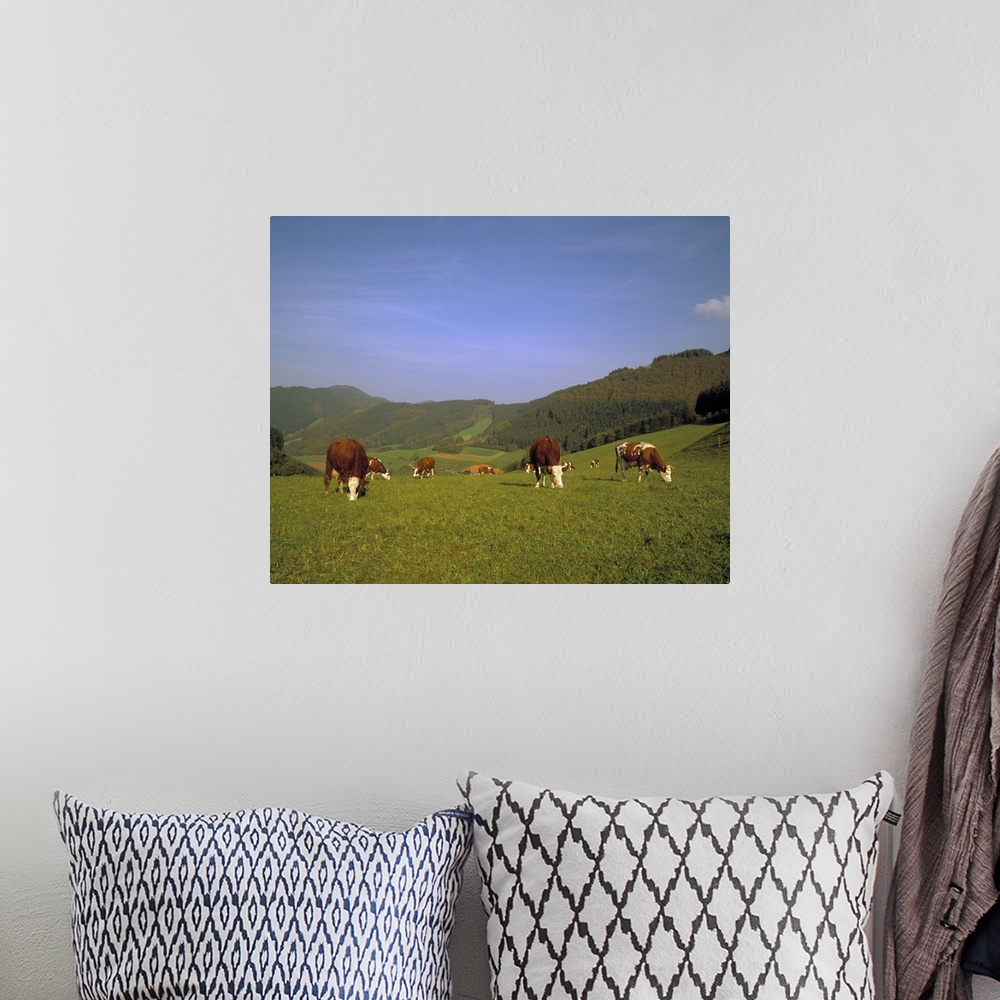 A bohemian room featuring Cows in the Alps