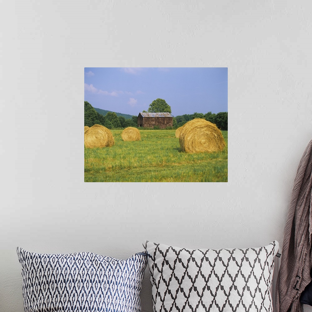 A bohemian room featuring This is a landscape photograph of a field and an old barn on the edge of the forest.