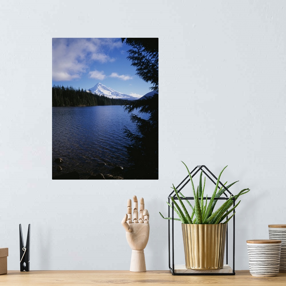 A bohemian room featuring Lake in front of snow covered mountain, Mt Hood, Lost Lake, Oregon