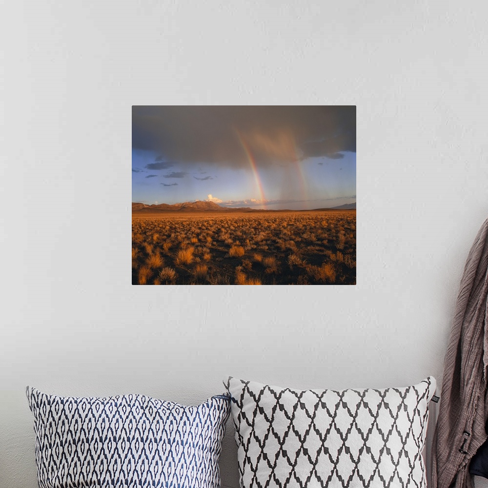 A bohemian room featuring The open desert is photographed largely with a storm in the background and a double rainbow shown.