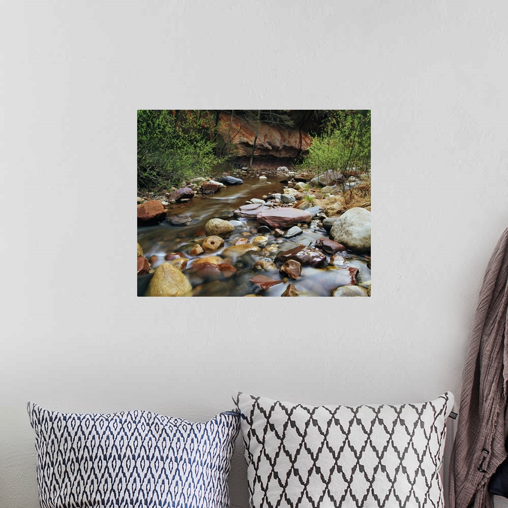 A bohemian room featuring Large, landscape photograph of many colorful rocks along  Oak Creek, surrounded by brush in Oak C...
