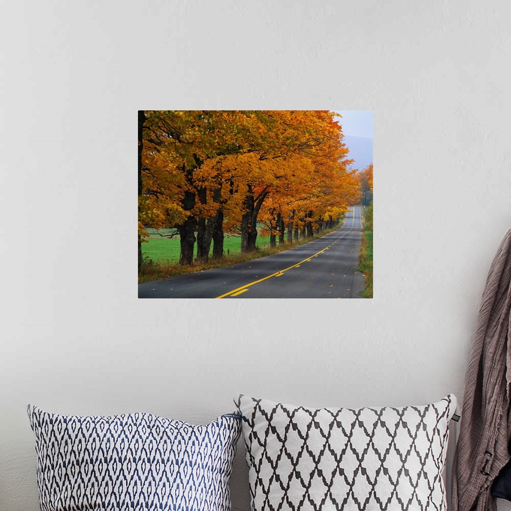 A bohemian room featuring Rural Road in Autumn