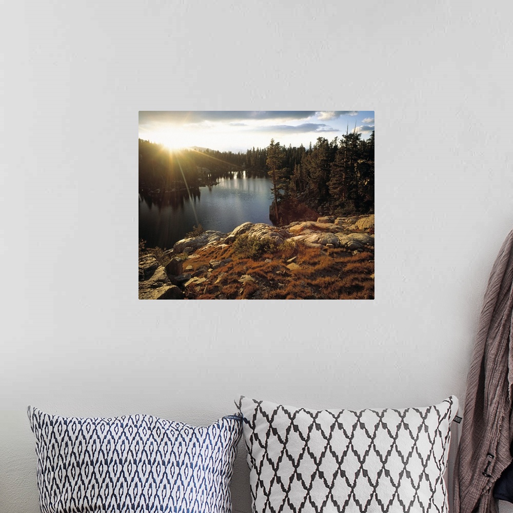 A bohemian room featuring This resplendent wall art is a landscape photograph of the sun rising over the tree line in this ...