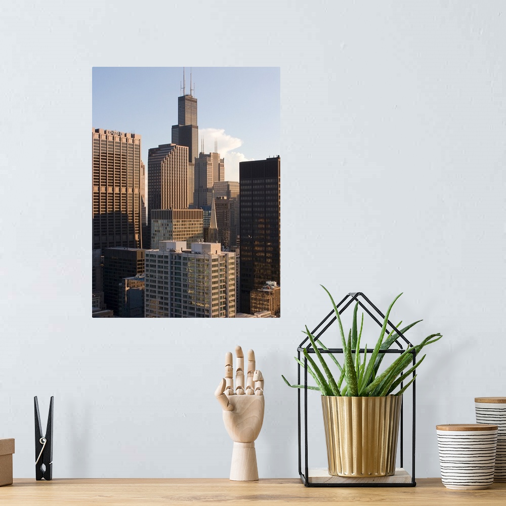 A bohemian room featuring Skyscrapers in a city, Sears Tower, Chicago, Illinois,