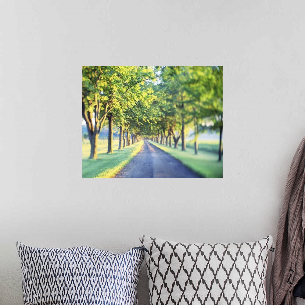A bohemian room featuring This is a landscape photograph of a gravel road through farm land with a vignette blur around the...