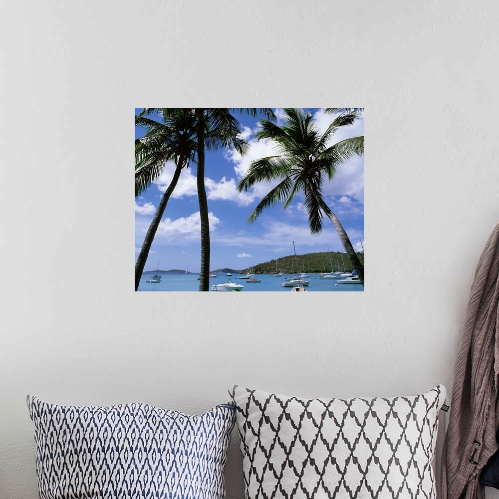A bohemian room featuring Tropical themed photo canvas with tall palm trees in front of an ocean full of a mixture of type ...